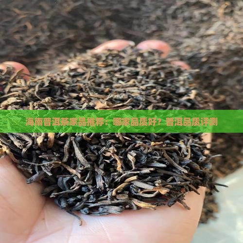 海南熟普洱茶哪家品质好