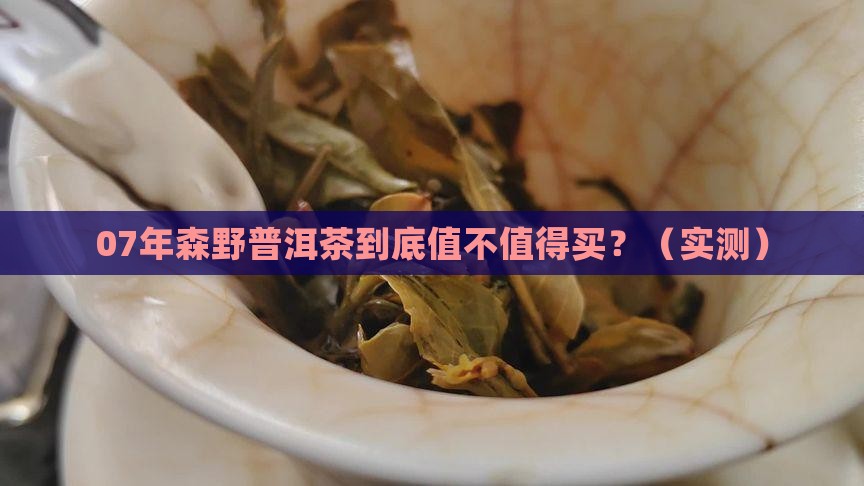 07年的森野普洱茶
