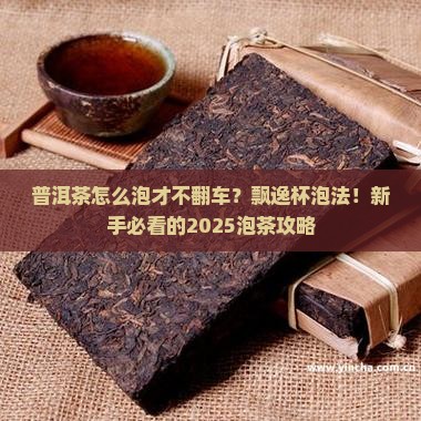 普洱茶飘逸杯泡法
