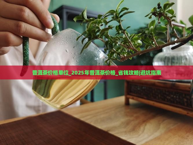 普洱茶价格单位