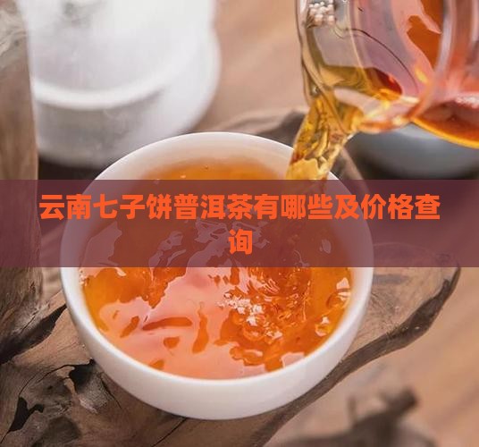 云南七子饼普洱茶品牌