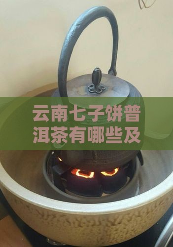 云南七子饼普洱茶品牌