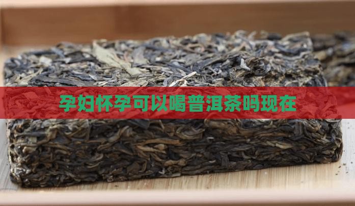 云浮可以喝普洱茶吗现在