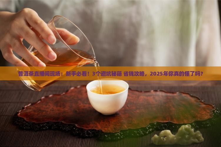 普洱茶直播间现场