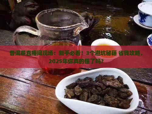 普洱茶直播间现场