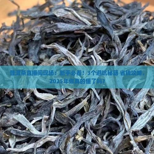 普洱茶直播间现场