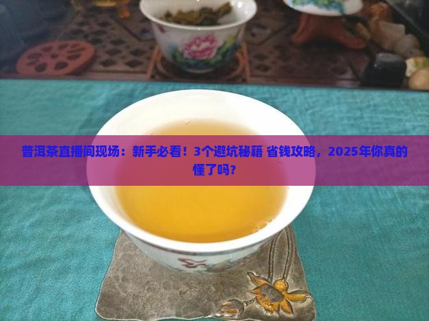 普洱茶直播间现场