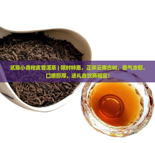 贰陈小青柑皮普洱茶