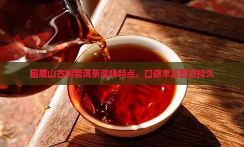 困鹿山古树普洱茶滋味特点