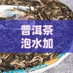 普洱茶泡水加点苟己