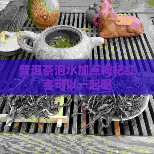 普洱茶泡水加点苟己