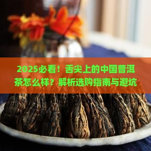 舌尖上的中国普洱茶怎么样