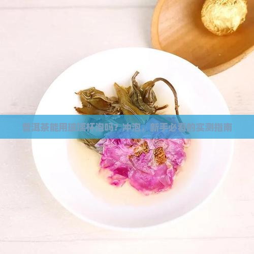 普洱茶可以玻璃杯冲泡吗