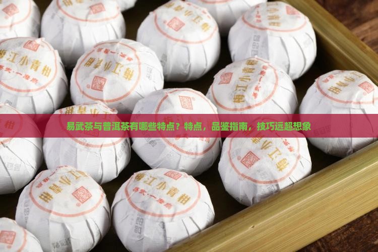 易武茶与普洱茶有哪些特点