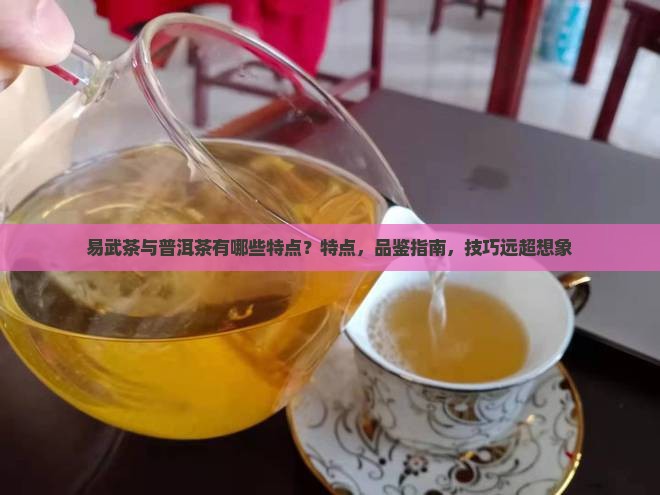 易武茶与普洱茶有哪些特点