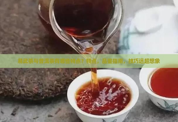 易武茶与普洱茶有哪些特点