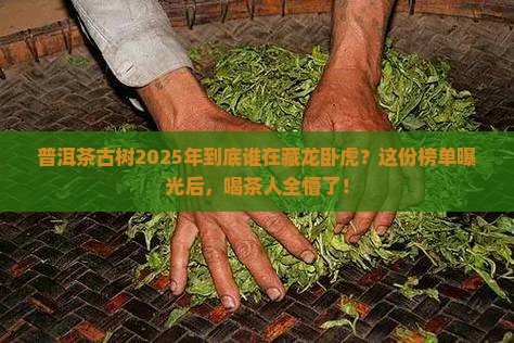 普洱茶古树品牌排名前十名