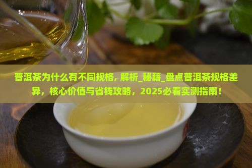 普洱茶为什么有不同规格