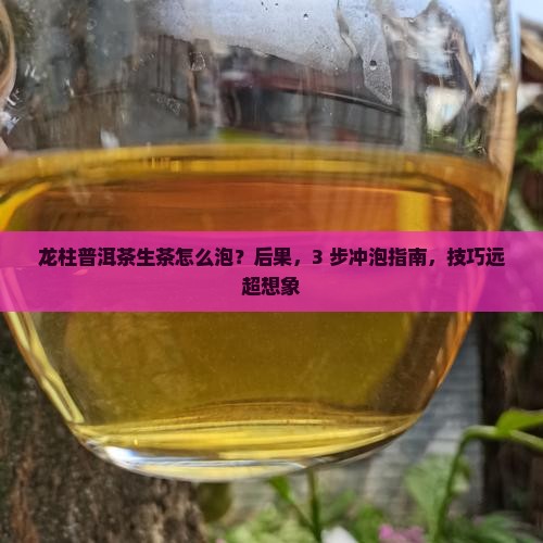 龙柱普洱茶生茶怎么泡