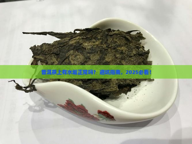 普洱茶上有水垢正常吗吗
