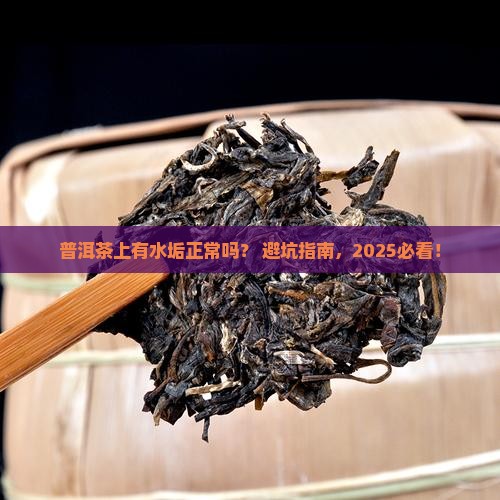 普洱茶上有水垢正常吗吗