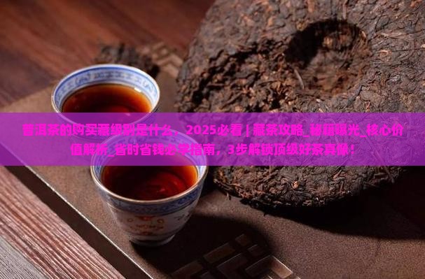 普洱茶的购买藏级别是什么