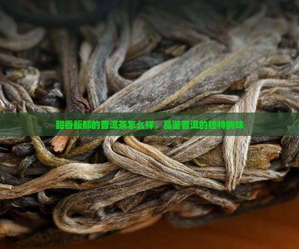 甜香馥郁的普洱茶怎么样