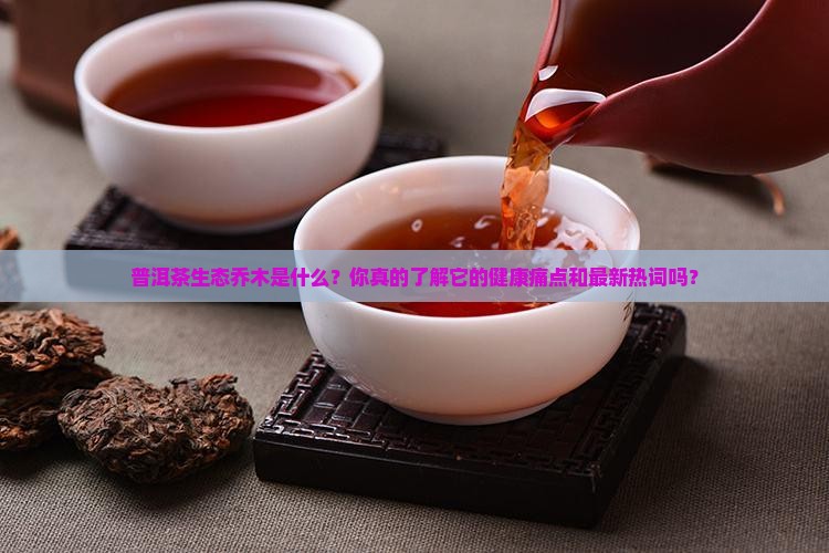 普洱茶生态乔木是什么意思