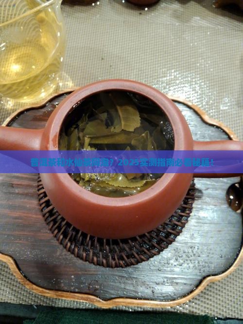 普洱茶和水仙茶同泡好吗