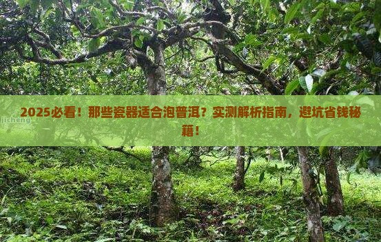 那个瓷器适合普洱茶