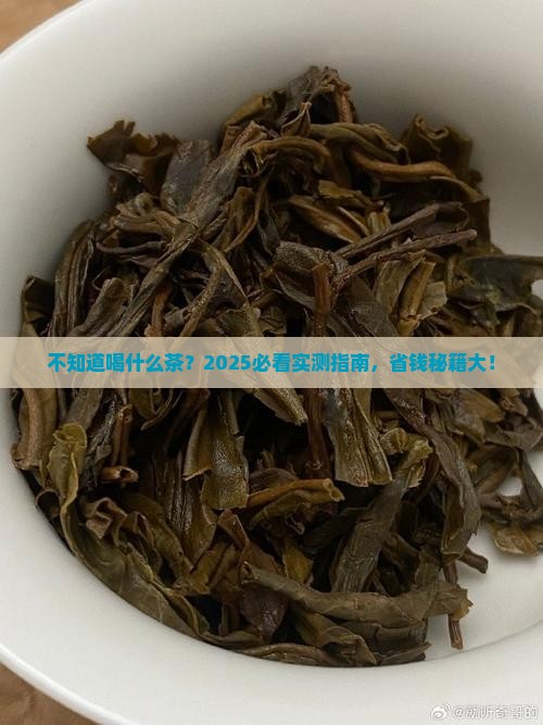 不知道喝什么茶