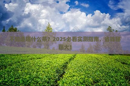 不知道喝什么茶