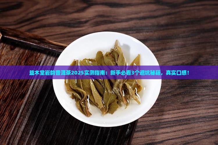 益木堂岩韵普洱茶