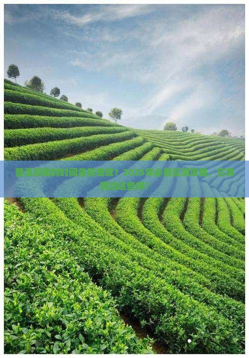 普洱茶什么时候喝好它能治什么病