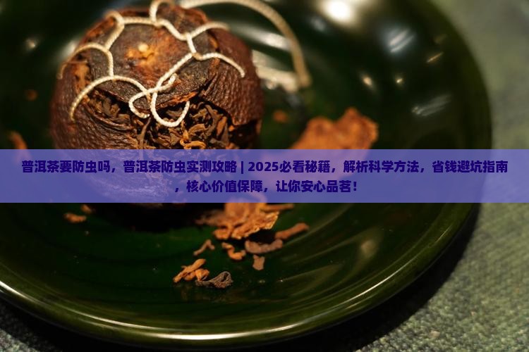 普洱茶要防虫吗