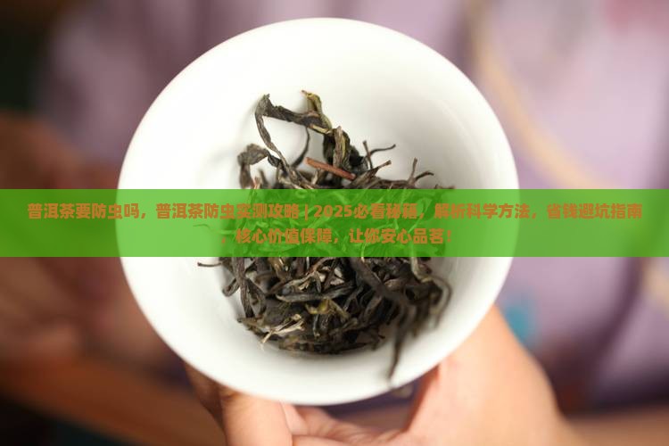 普洱茶要防虫吗
