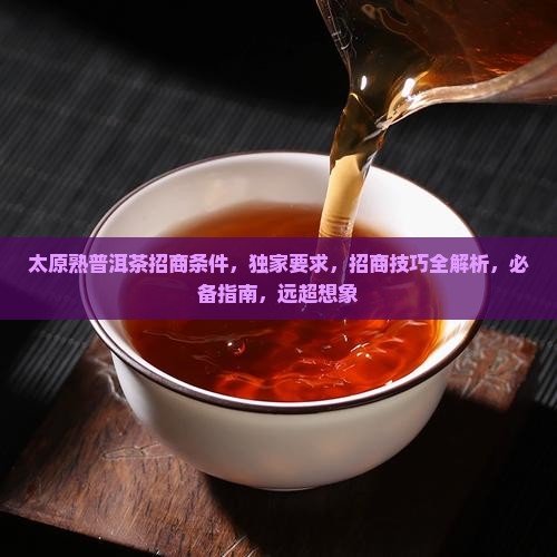 太原熟普洱茶招商条件