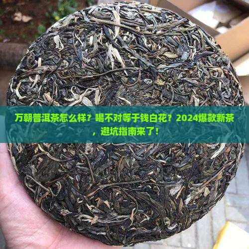 万朝普洱茶怎么样