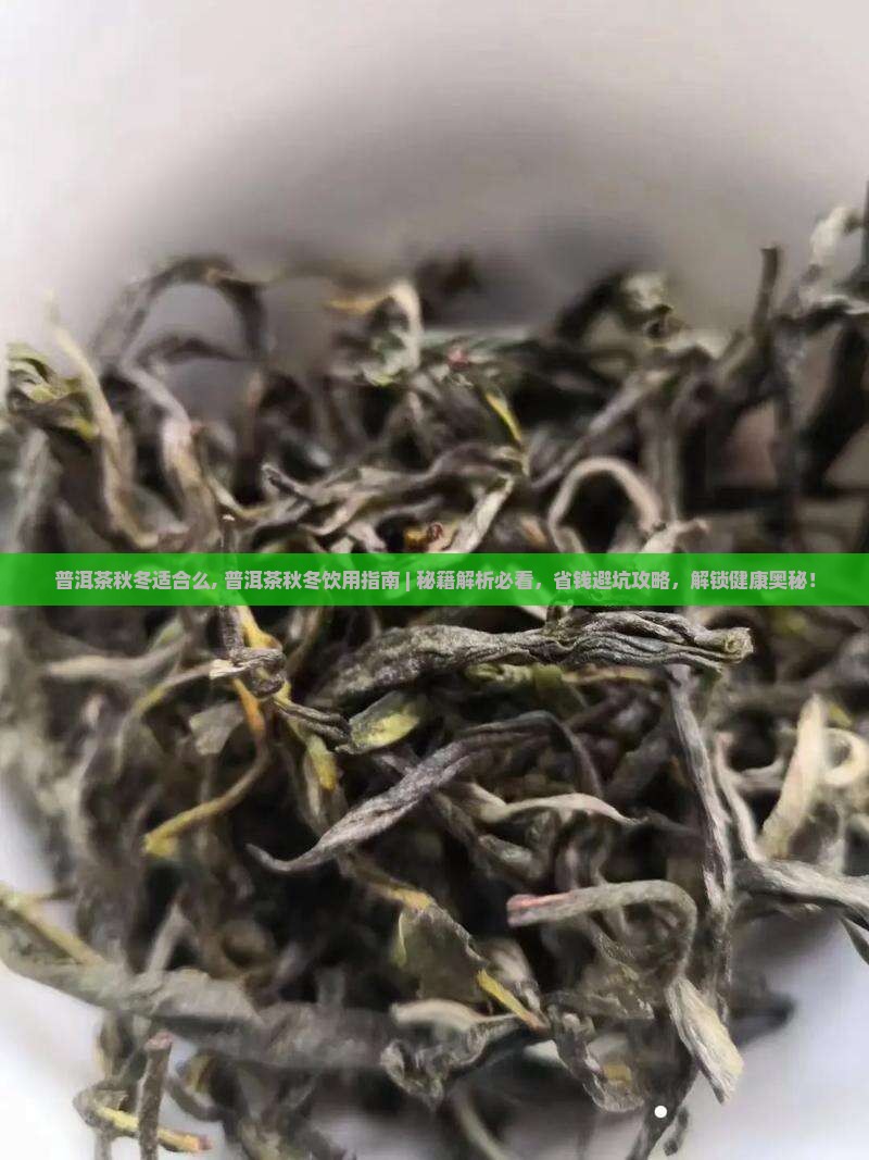普洱茶秋冬适合么