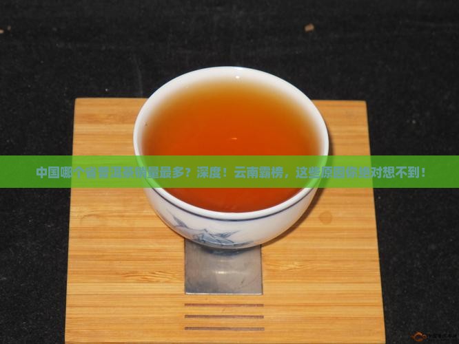 中国哪个省普洱茶销量最多