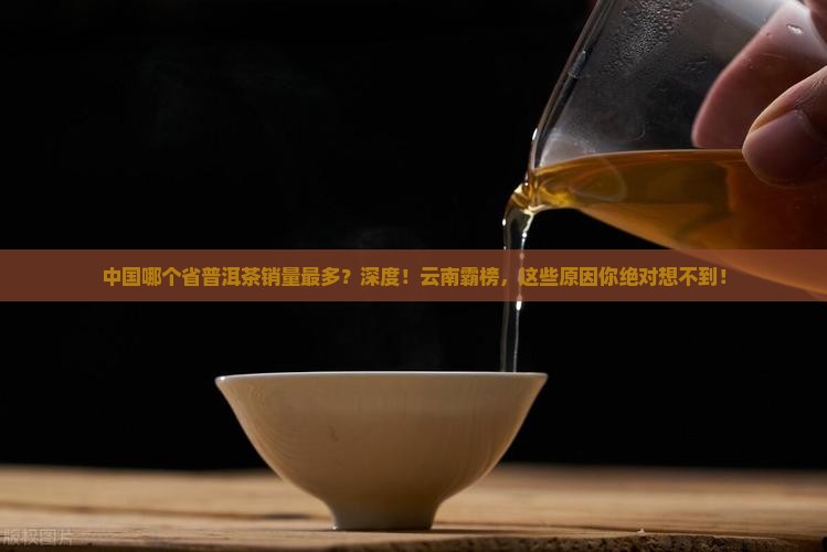 中国哪个省普洱茶销量最多
