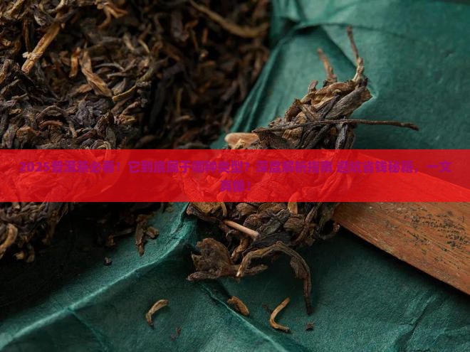 普洱茶属于哪种的类型 普洱茶属于哪种的类型