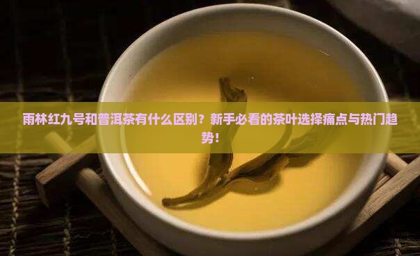 雨林红九号和普洱茶的区别