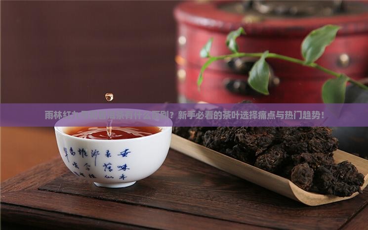 雨林红九号和普洱茶的区别