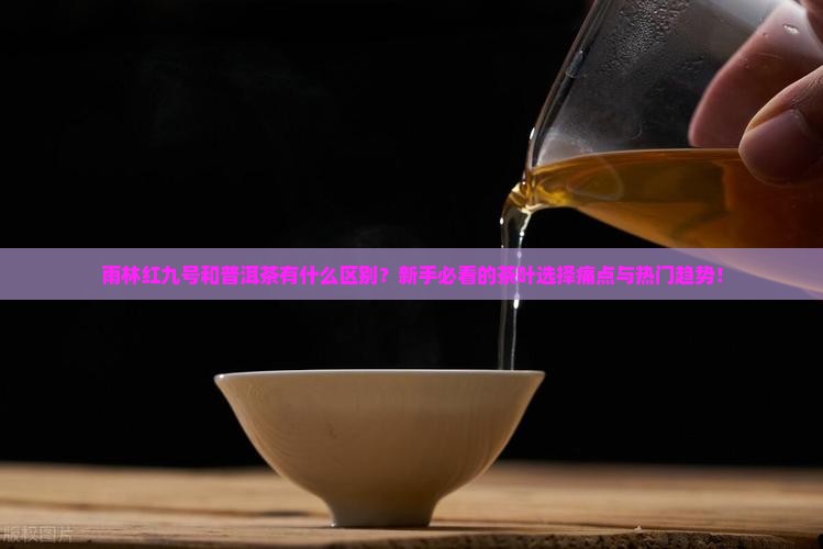 雨林红九号和普洱茶的区别