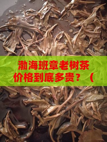 渤海班章老树茶价格