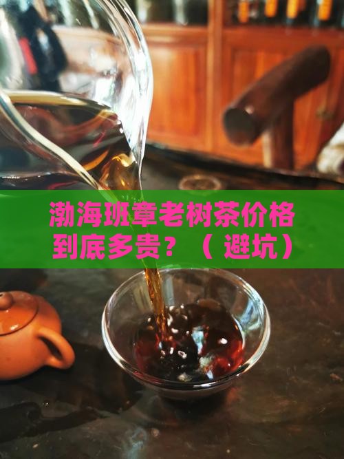 渤海班章老树茶价格