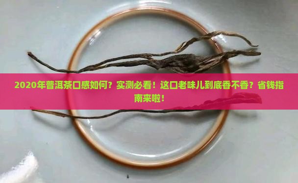 2020年的普洱茶口感怎样