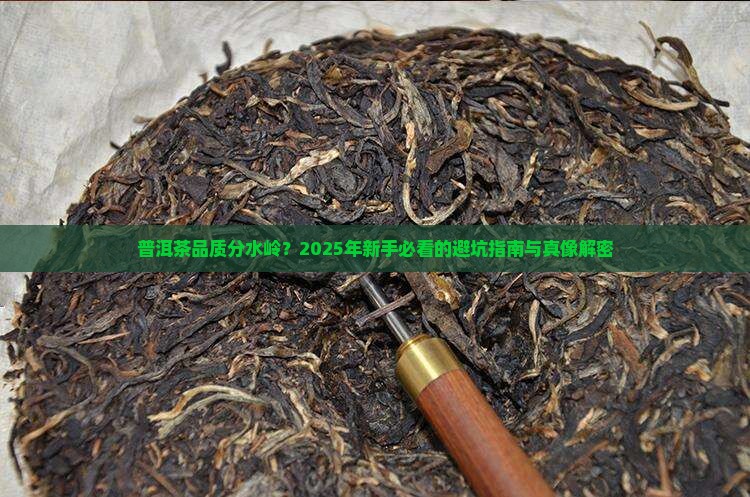 普洱茶品质分水岭