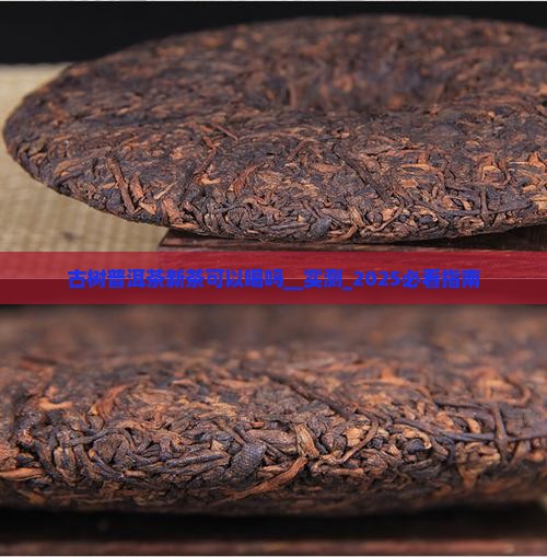古树普洱茶新茶可以喝吗